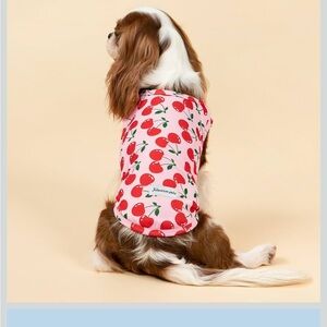 Fitwarm cherry cooling vest, medium new with tags